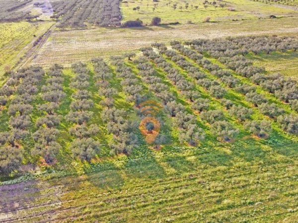 terreno agricolo in vendita a Castelvetrano in zona Triscina di Selinunte