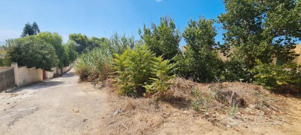 terreno edificabile in vendita a Castelvetrano in zona Triscina di Selinunte
