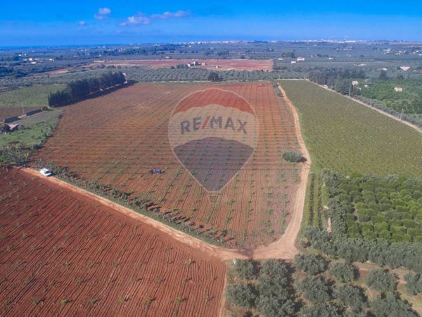 terreno agricolo in vendita a Castelvetrano