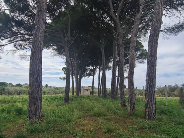 terreno agricolo in vendita a Castelvetrano