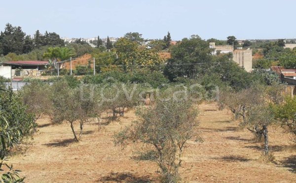 terreno agricolo in vendita a Castelvetrano