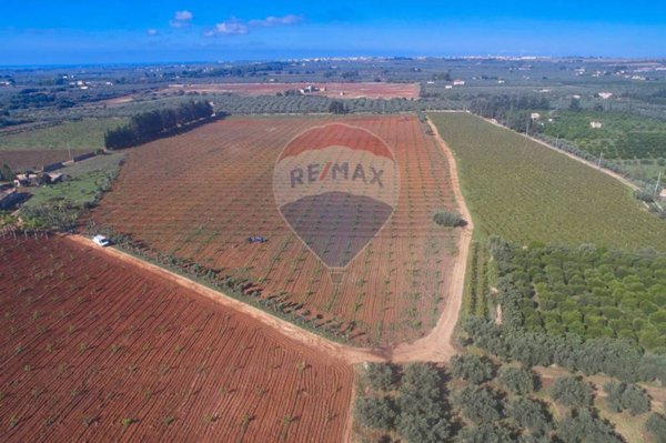 azienda agricola in vendita a Castelvetrano