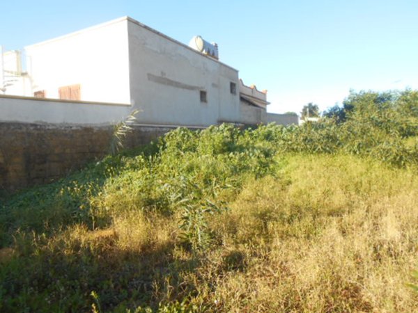 terreno edificabile in vendita a Castelvetrano in zona Triscina di Selinunte