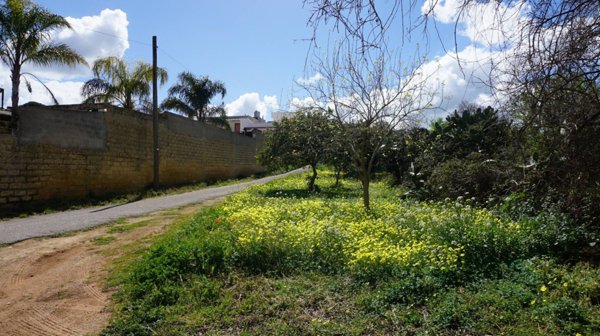 terreno edificabile in vendita a Castelvetrano