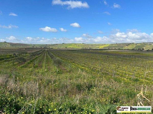 terreno agricolo in vendita a Castelvetrano