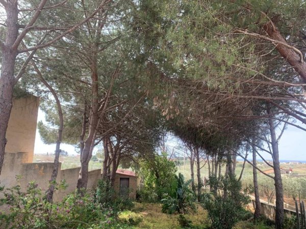 casa indipendente in vendita a Castelvetrano in zona Triscina di Selinunte