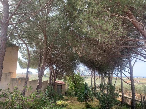 casa indipendente in vendita a Castelvetrano in zona Triscina di Selinunte