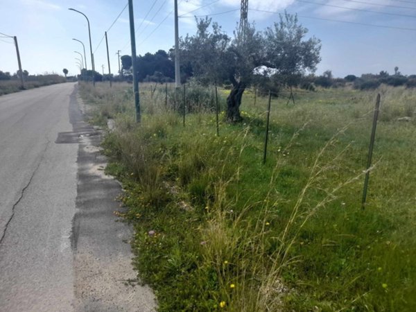 terreno agricolo in vendita a Castelvetrano in zona Marinella di Selinunte