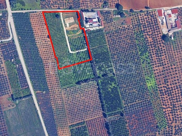 appartamento in vendita a Castelvetrano