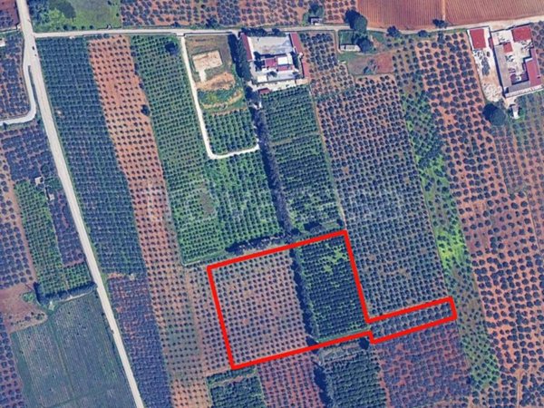 appartamento in vendita a Castelvetrano