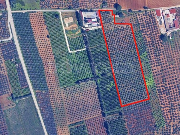 appartamento in vendita a Castelvetrano