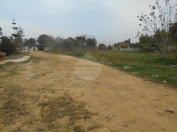 terreno agricolo in vendita a Castelvetrano in zona Triscina di Selinunte