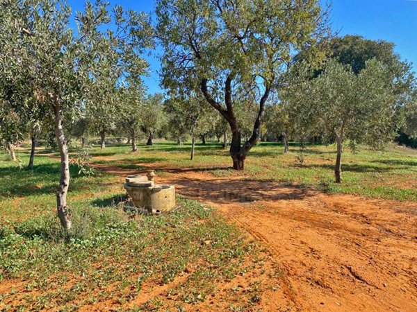 casa indipendente in vendita a Castelvetrano in zona Marinella di Selinunte