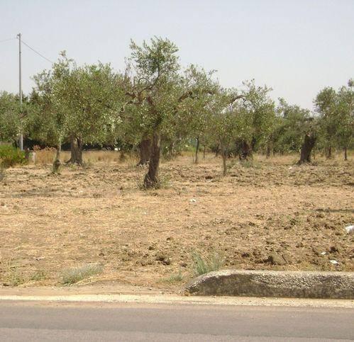 casa indipendente in vendita a Castelvetrano