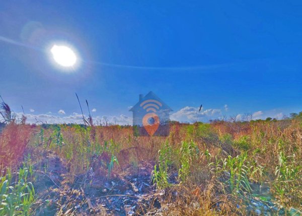 terreno agricolo in vendita a Castelvetrano in zona Triscina di Selinunte