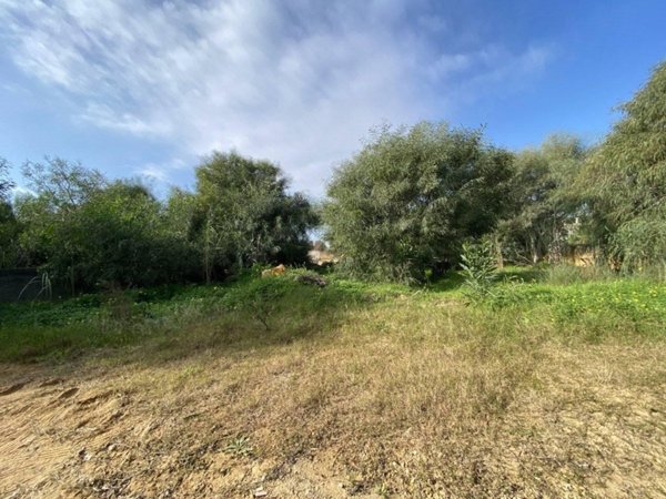 casa semindipendente in vendita a Castelvetrano in zona Triscina di Selinunte