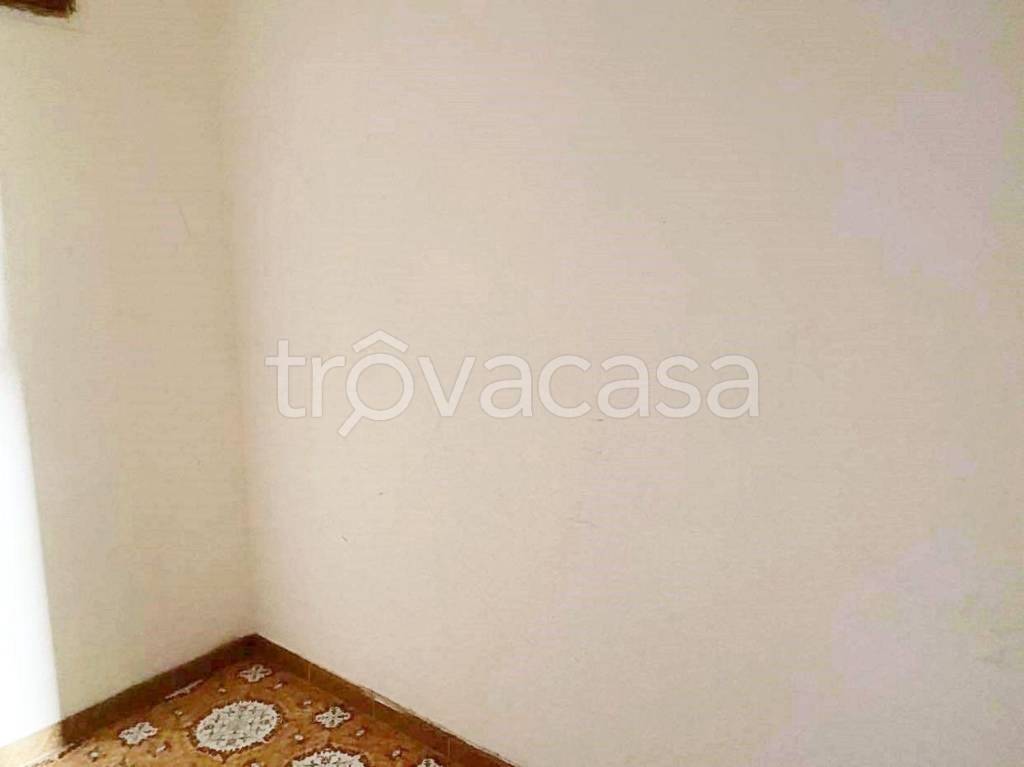 immagine annuncio 0 di 15