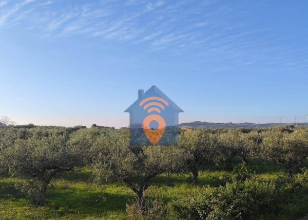 terreno agricolo in vendita a Castelvetrano