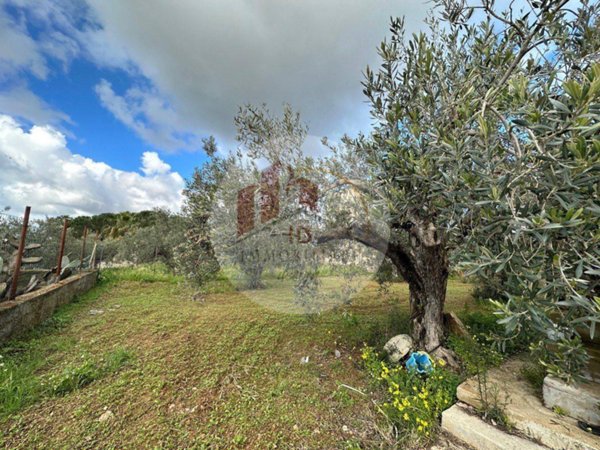 terreno agricolo in vendita a Castelvetrano