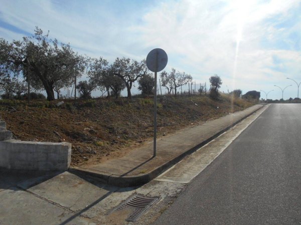 terreno agricolo in vendita a Castelvetrano in zona Triscina di Selinunte