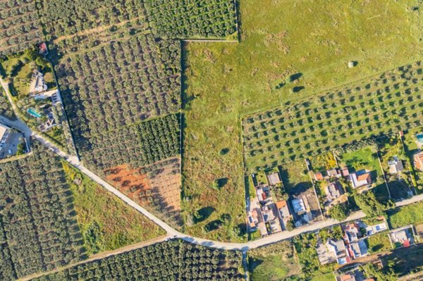 terreno edificabile in vendita a Castelvetrano in zona Marinella di Selinunte