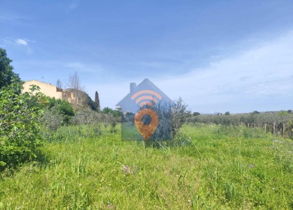 terreno agricolo in vendita a Castelvetrano