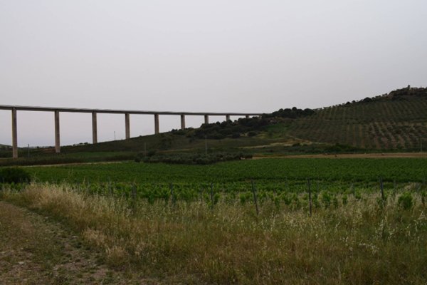 terreno agricolo in vendita a Castelvetrano