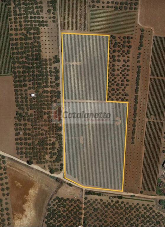 terreno edificabile in vendita a Castelvetrano