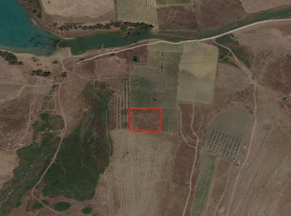 terreno agricolo in vendita a Castelvetrano