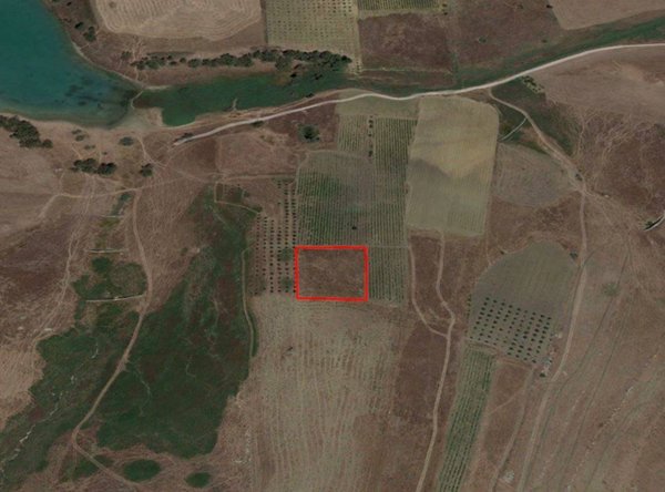 terreno agricolo in vendita a Castelvetrano