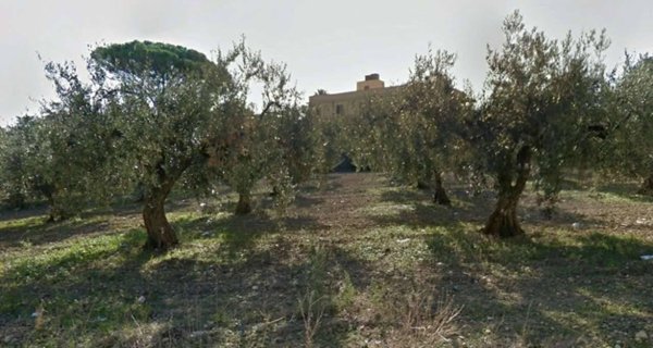 terreno agricolo in vendita a Castelvetrano