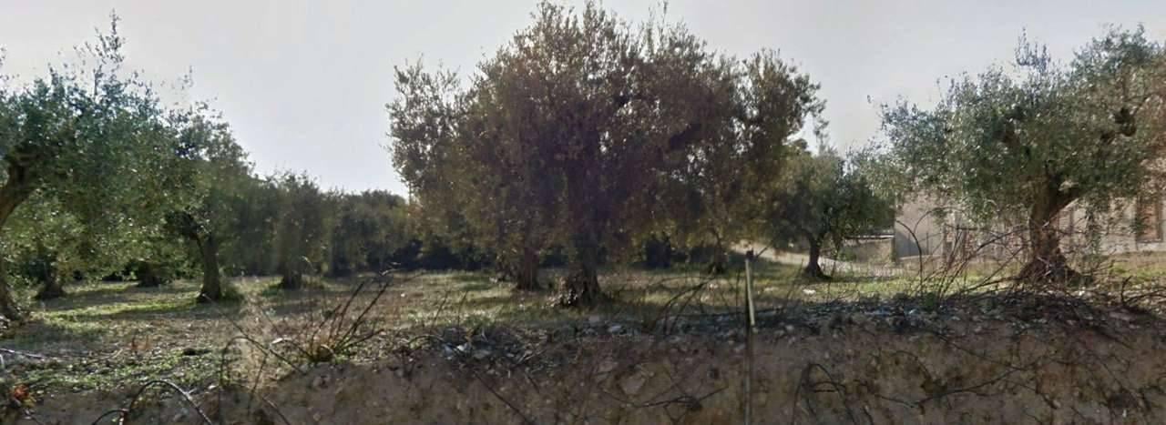 terreno agricolo in vendita a Castelvetrano