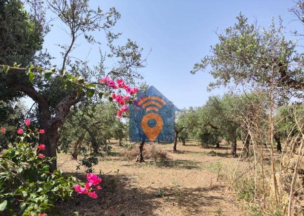 terreno agricolo in vendita a Castelvetrano