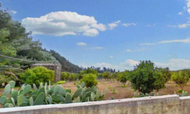 terreno agricolo in vendita a Castelvetrano