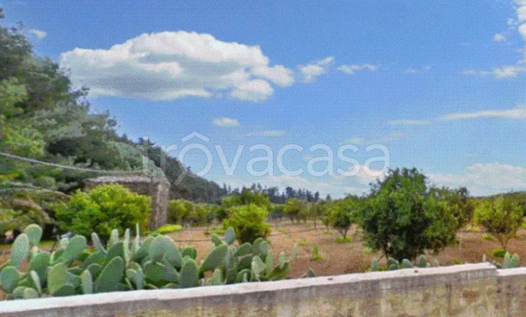 terreno agricolo in vendita a Castelvetrano