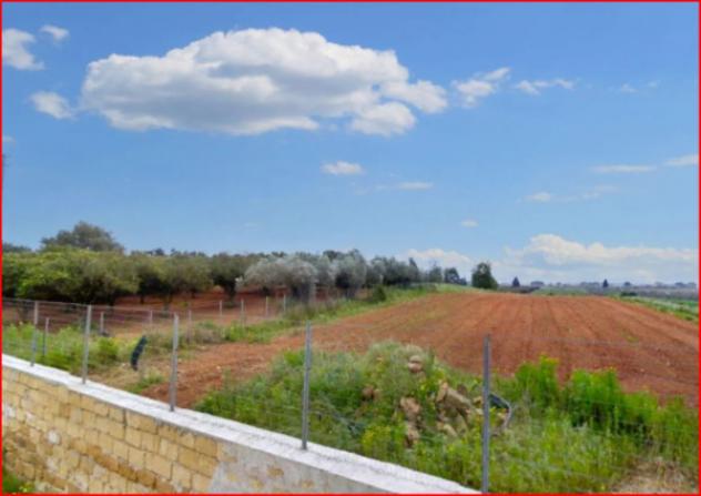 terreno agricolo in vendita a Castelvetrano