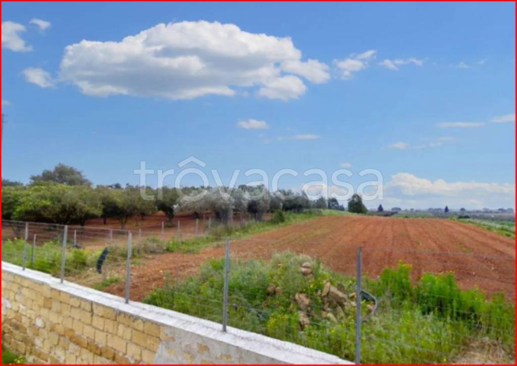 terreno agricolo in vendita a Castelvetrano