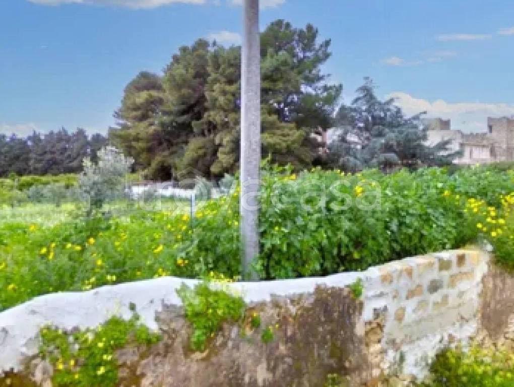 terreno agricolo in vendita a Castelvetrano