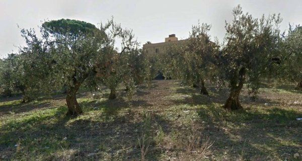 terreno agricolo in vendita a Castelvetrano