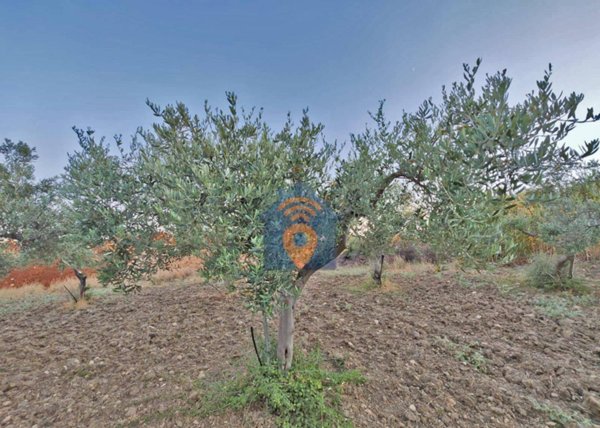 terreno agricolo in vendita a Castelvetrano in zona Marinella di Selinunte
