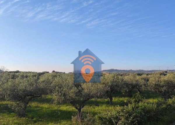 terreno agricolo in vendita a Castelvetrano
