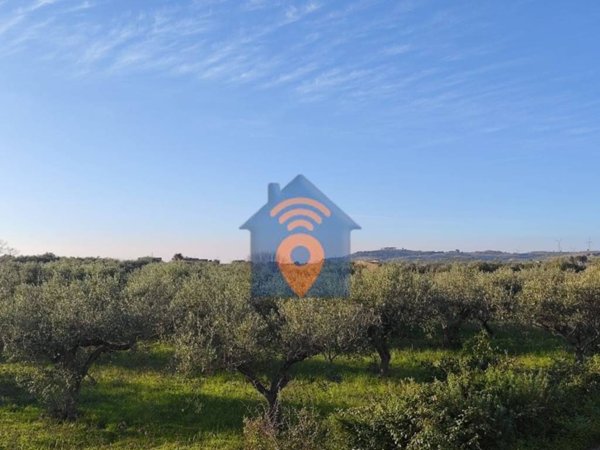 terreno agricolo in vendita a Castelvetrano
