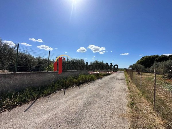 terreno agricolo in vendita a Castelvetrano in zona Marinella di Selinunte