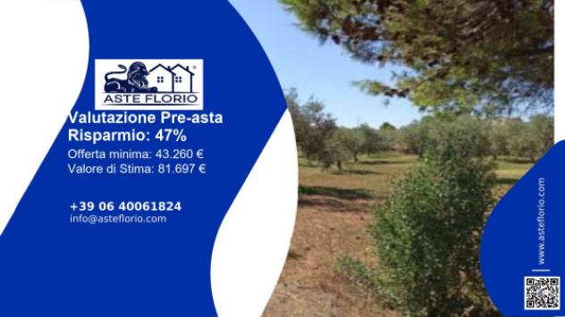 terreno agricolo in vendita a Castelvetrano