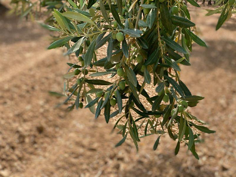 locale di sgombero in vendita a Castelvetrano