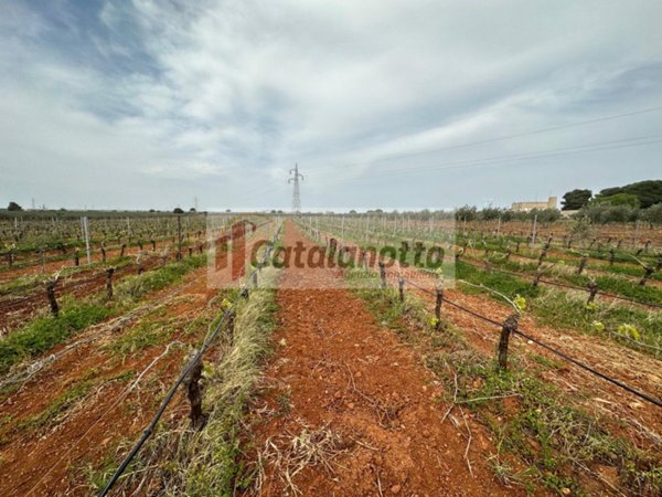 terreno edificabile in vendita a Castelvetrano