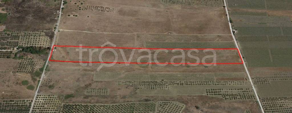 terreno agricolo in vendita a Castelvetrano