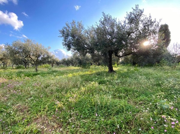 negozio in vendita a Castelvetrano
