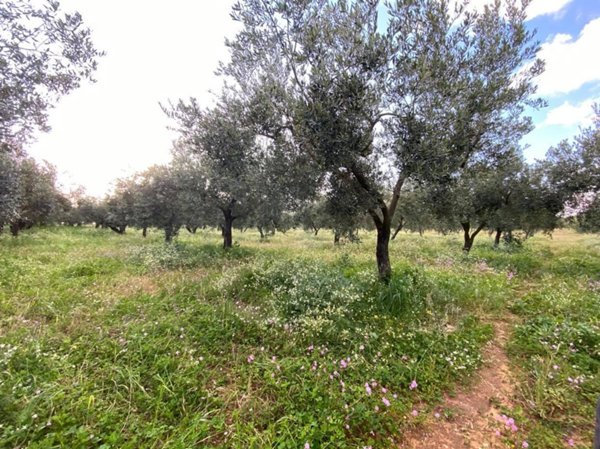 negozio in vendita a Castelvetrano