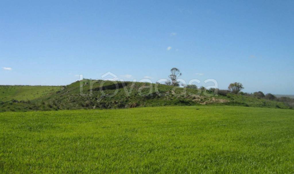 terreno agricolo in vendita a Castelvetrano